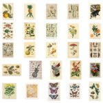 Product-0013 - Image 2